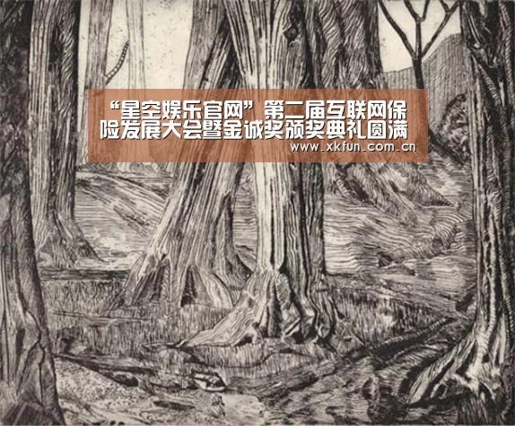 “星空娱乐官网”第二届互联网保险发展大会暨金诚奖颁奖典礼圆满落幕(图1) 星空娱乐下载