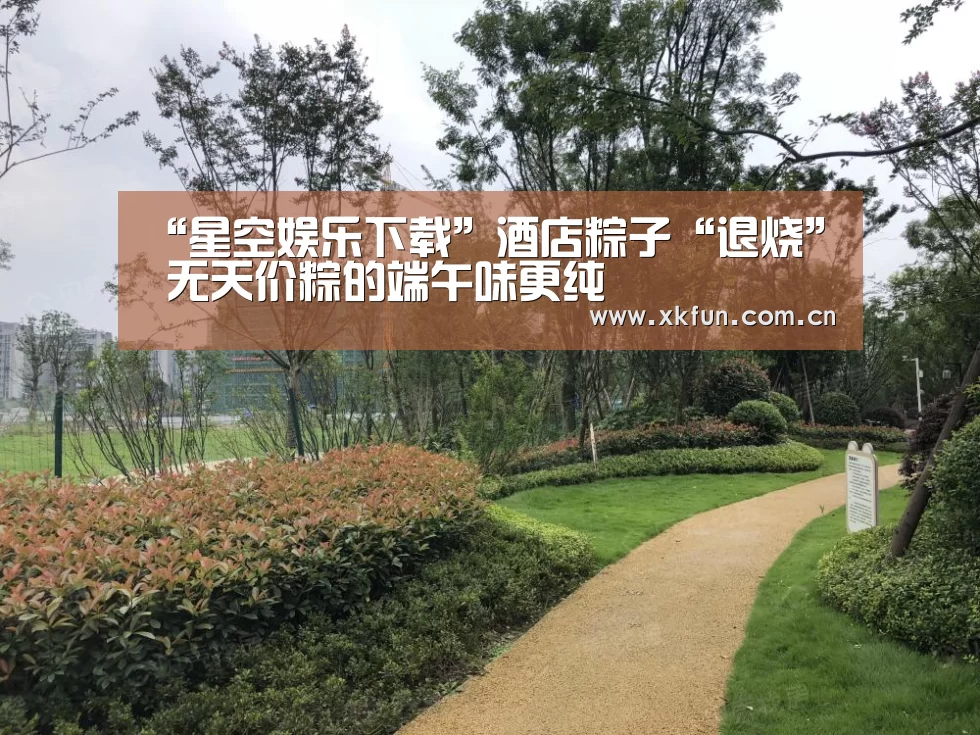 “星空娱乐下载”酒店粽子“退烧” 无天价粽的端午味更纯(图3) 星空娱乐官网