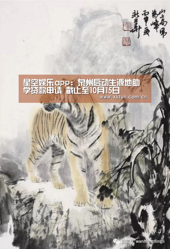 星空娱乐