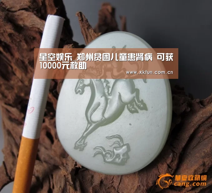星空娱乐_郑州贫困儿童患肾病　可获10000元救助