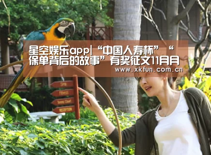 星空娱乐app|“中国人寿杯”“保单背后的故事”有奖征文11月月度优秀奖揭晓(图4) 星空娱乐下载