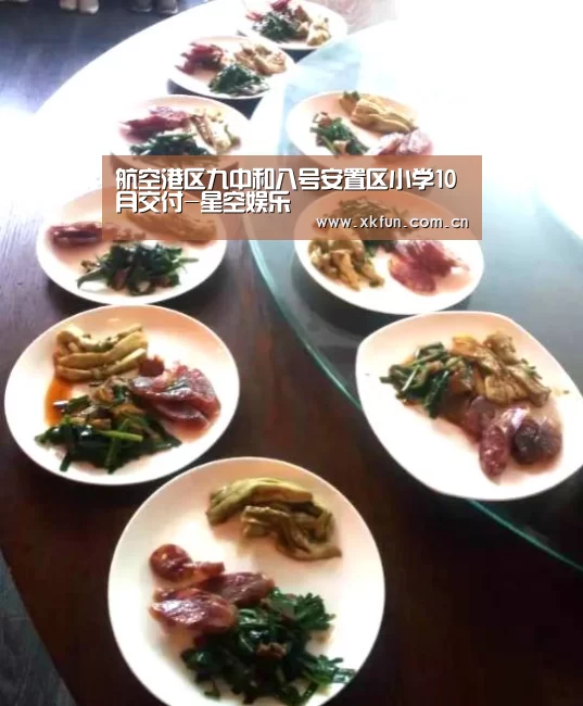 航空港区九中和八号安置区小学10月交付-星空娱乐