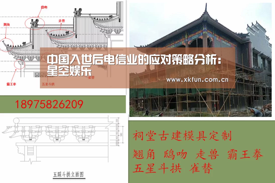 中国入世后电信业的应对策略分析:星空娱乐(图1) 星空娱乐下载